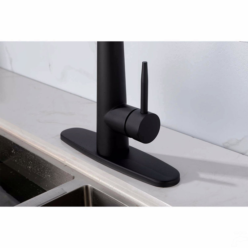 Single Handle Stainless Steel Kitchen Sink Faucet With Pull Down Sprayer, Matte Black
