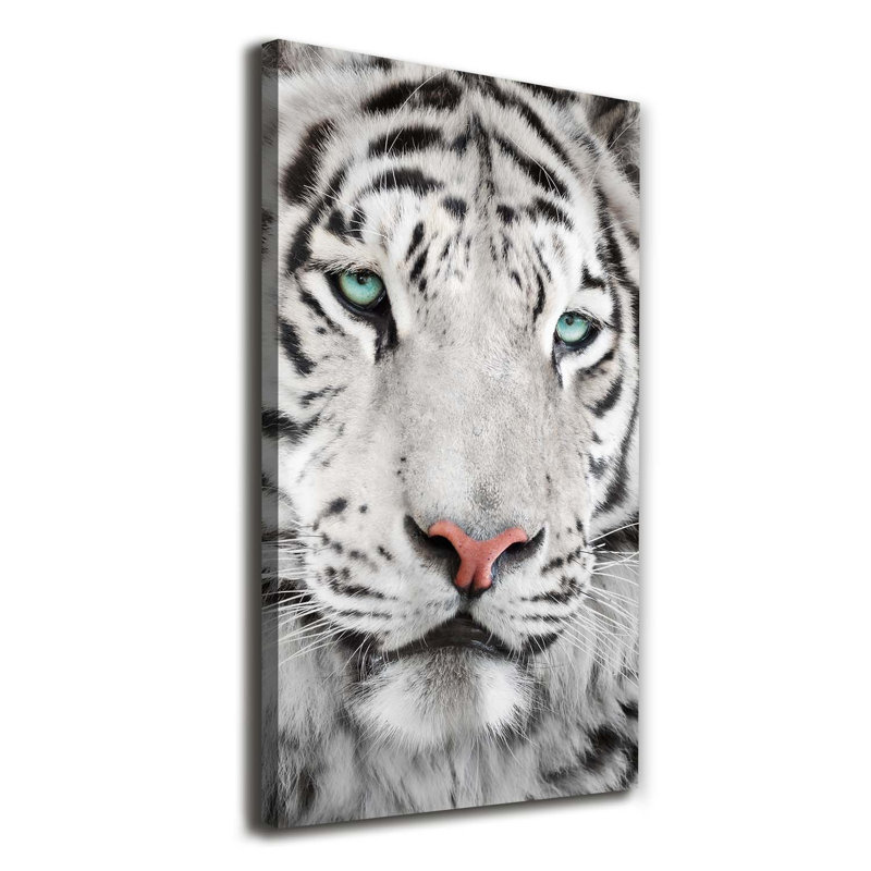 Dogs And Cats - Wrapped Canvas Print