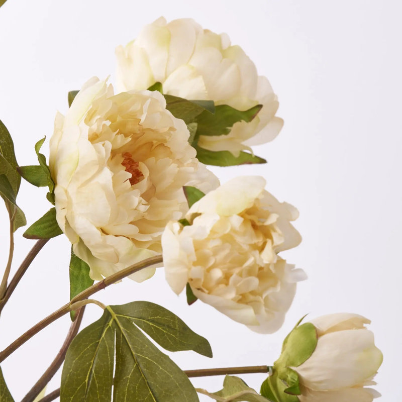 Fleur de pivoine beige crème réaliste et bourgeons dans un grand ambre moderne illusion d'eau artificielle de tous les jours
