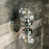 Polished Nickel