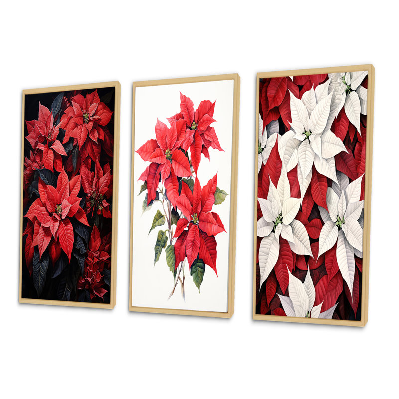 «Poinsettia Flower Noir», 3 pièces sur toile, Cadre naturel flottant, H 20 po x l 36 po