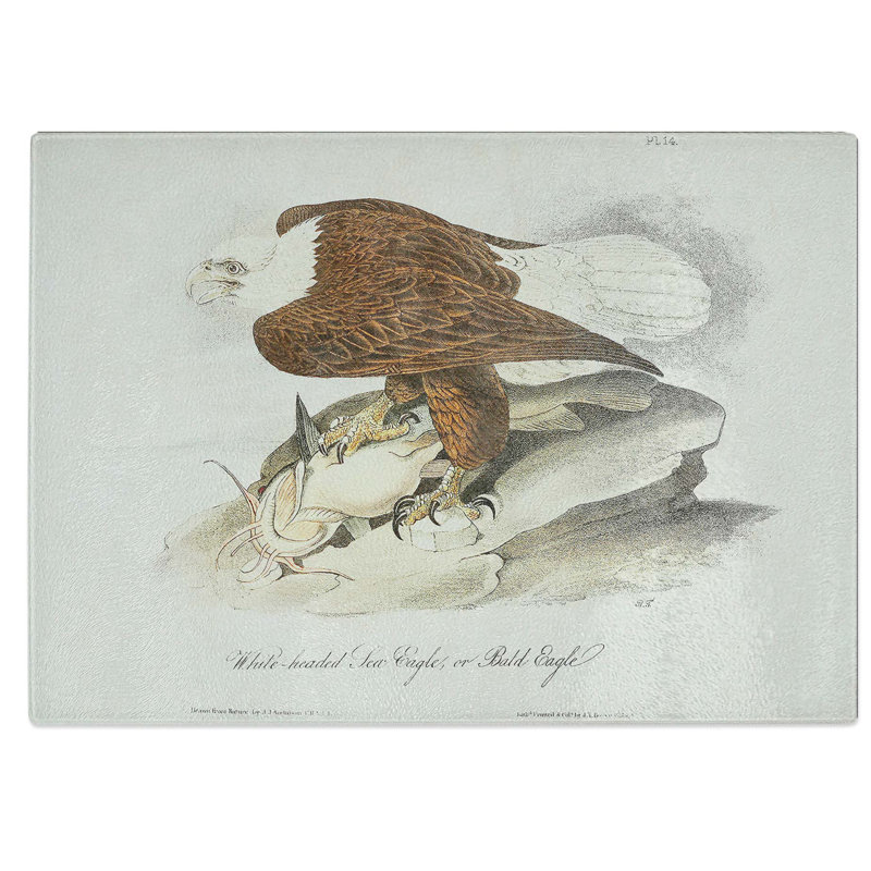 Tempered Glass Bald Eagle Chopping Board, 39 cm W x 28.5 cm L