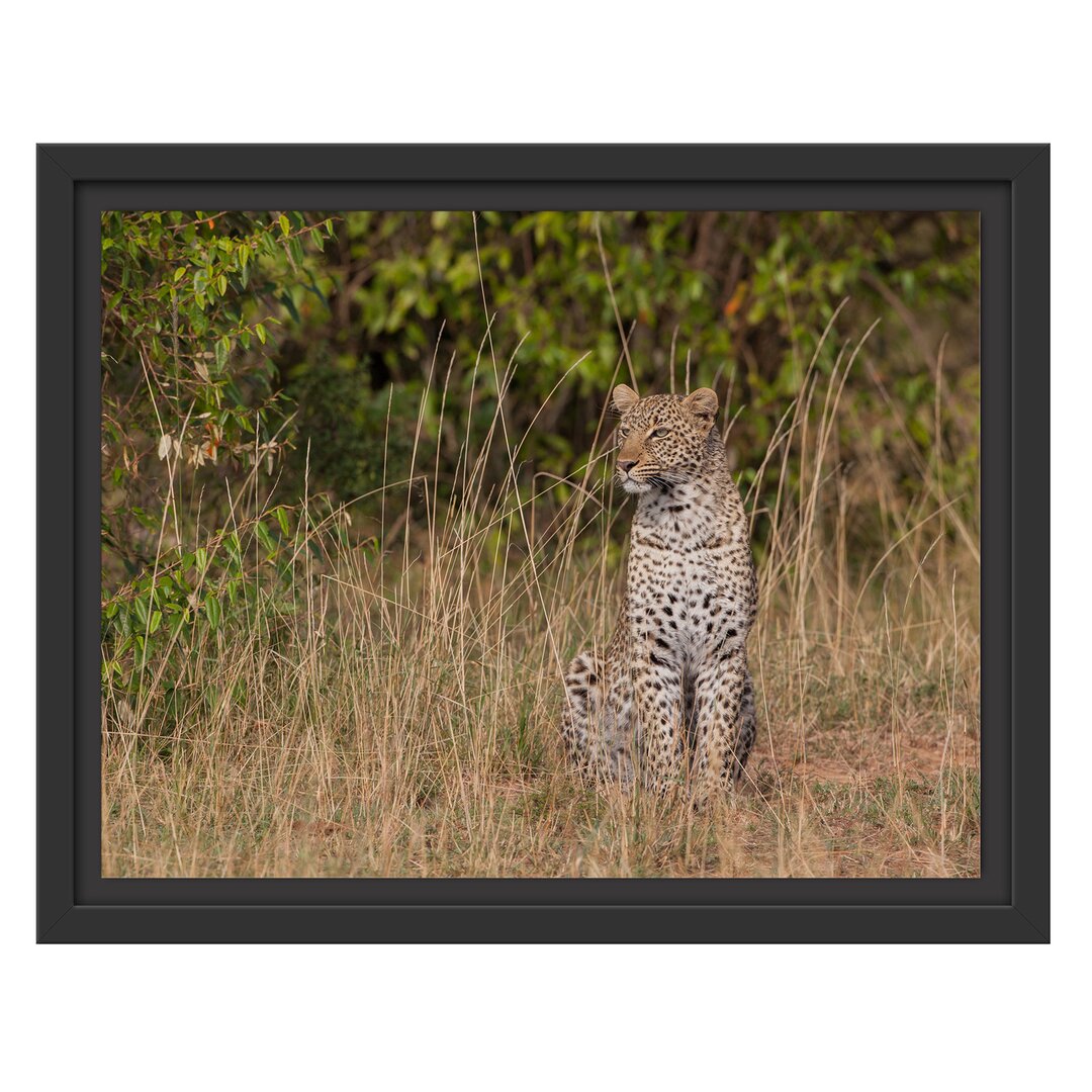 Gerahmtes Wandbild anmutiger Leopardhohen Gras