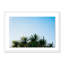 Palm Trees Print by Oliver Cole-48620000-48620001