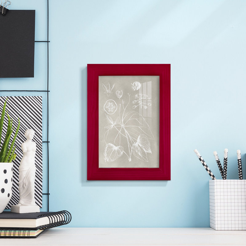 Schéma botanique II - impression encadrée avec verre, Rouge, H 6 po x l 4 po x P 1 po