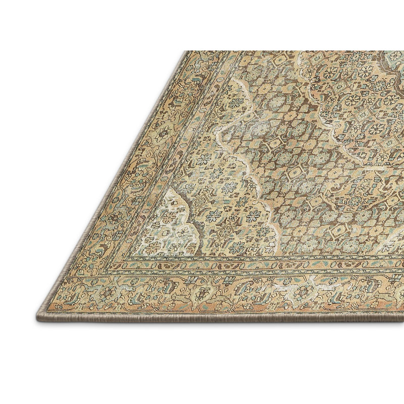 Juillac Oriental Indoor Rug, Rectangle 5' x 7'