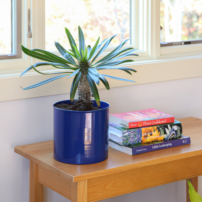 Metal Pot Planter, French Blue