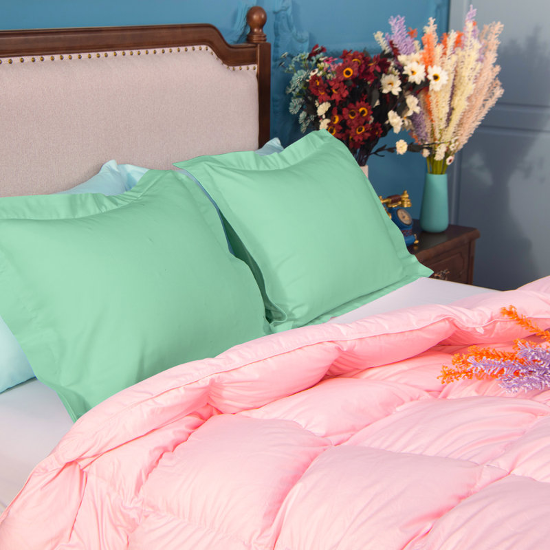 Decorative Pillowcases, 1800 Brushed Microfiber Oxford Pillowcases - NTBAY, Menthe, 20 po x 26 po