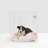 Medium Clear View Pet Crate with Gold Latch-1029168813