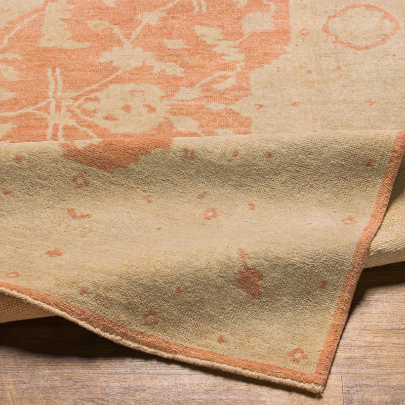 Normandy Wool Oriental Area Rug in Taupe/Red, Rectangle 4' x 6'