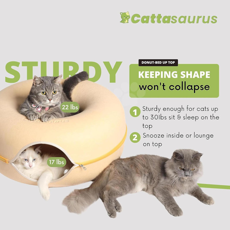 Lit pour chat Peekaboo, Macaron pastel, Grande taille: L 24 po x l 24 po