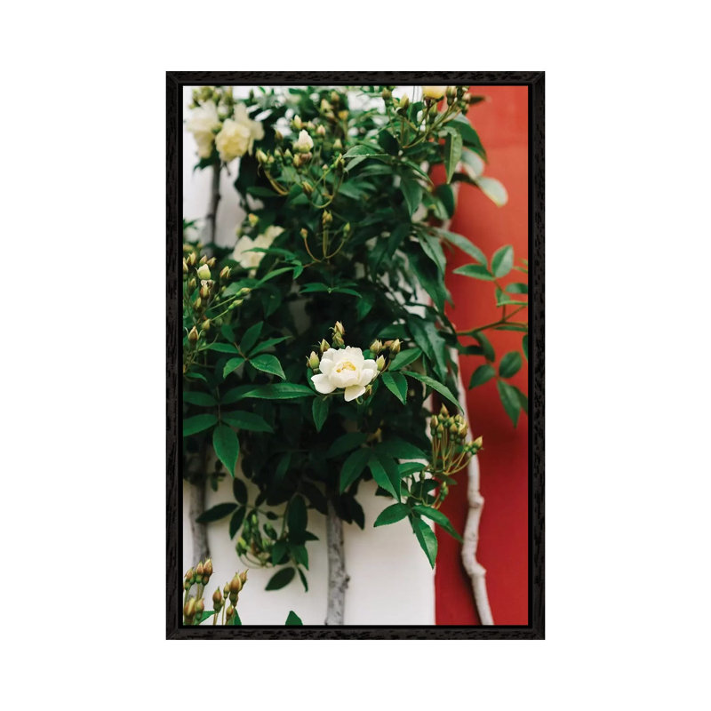 Positano Blooms I by Bethany Young - Print on Canvas, Black Framed, 66.04cm H x 45.72cm W x 3.81cm D