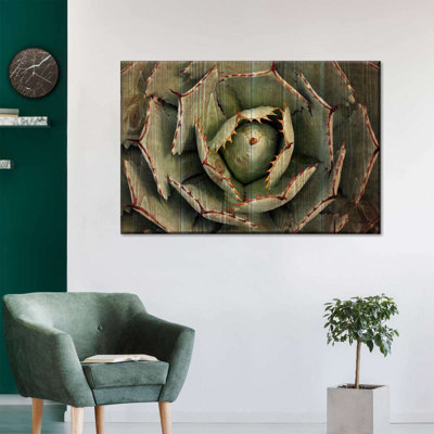 «Wooden Succulents», reproduction sur toile