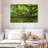 Brampt Mossy Tree Owl-108697618