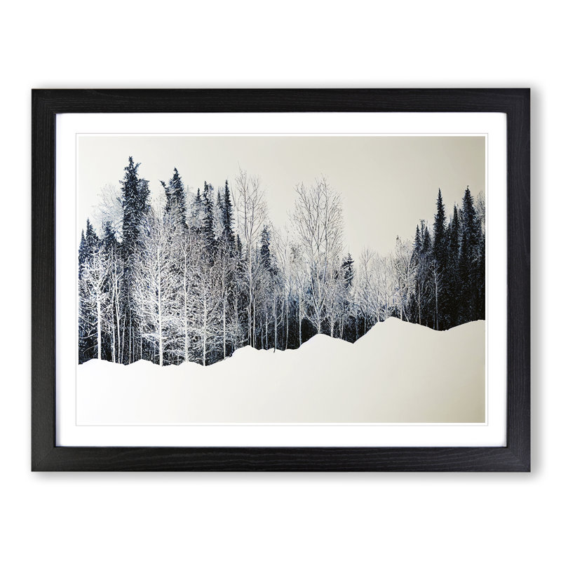 Engaging Winter Forest - Single Picture Frame Print, Black Framed, 46cm H x 64cm W x 2cm D