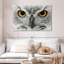 Hibou Brampt regardant fixement-107695712