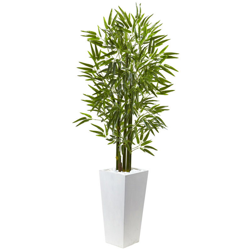 Bambou avec pot de fleurs blanc, résistant aux rayons UV (intérieur / extérieur)