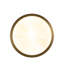 Neptune Sconce-1880334954