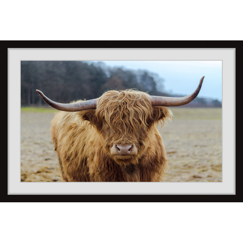 Highland Roamer by Marmont Hill - Painting, Paper, 20cm H x 30cm W