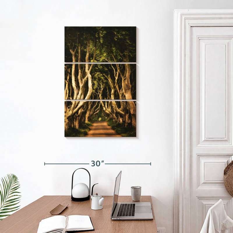 Harnek Ireland's Dark Hedges, H 32 po x l 20 po