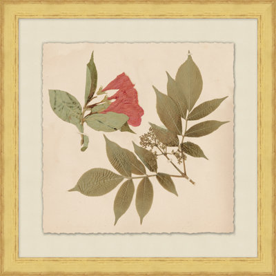 Pressed Flowers 2 Print