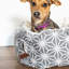 Hamm Geometric Polyester Pet Bed