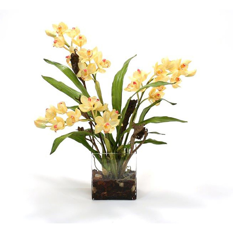 Nolah Arrangement in Vase