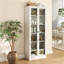 Armoire décorative avec portes à double vitrage