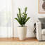 Faux arbre en pot 33 "
