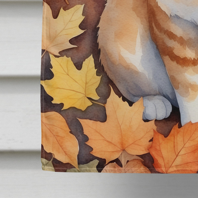 Chat en feuilles d'automne, Manx