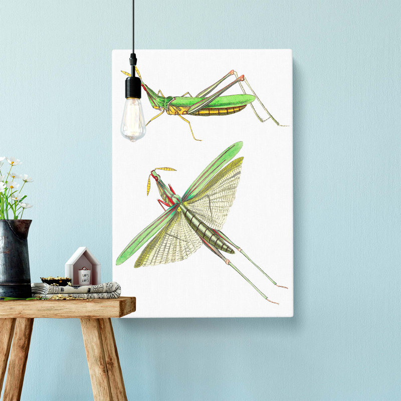 Green Locust by George Shaw - Painting, Wrapped Canvas, 50cm H x 35cm W x 3cm D