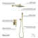 All-In-One Kit with Rough in-Valve