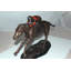 Statue Lillias Jockey avec cheval