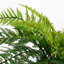 varen 38 cm H Faux Plant
