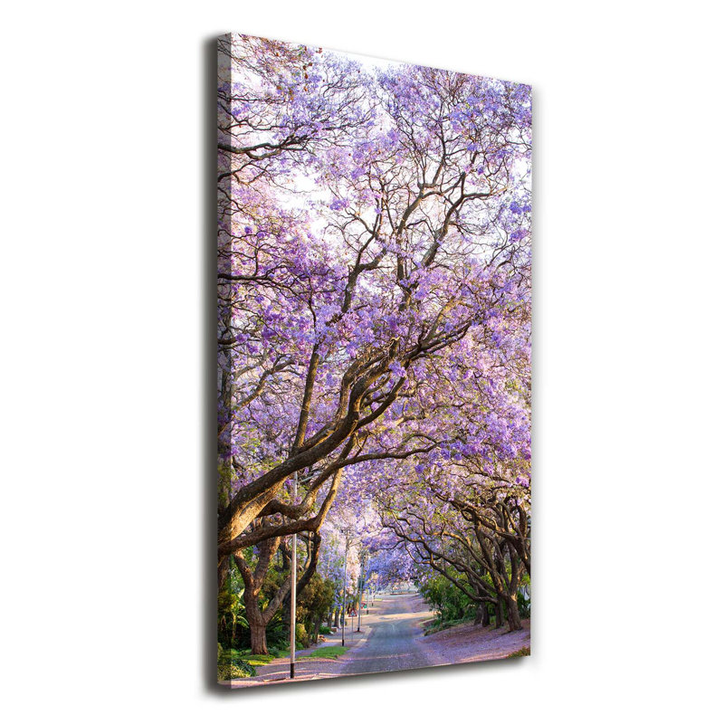 Lumpkin The Jakaranda Path - Wrapped Canvas Print