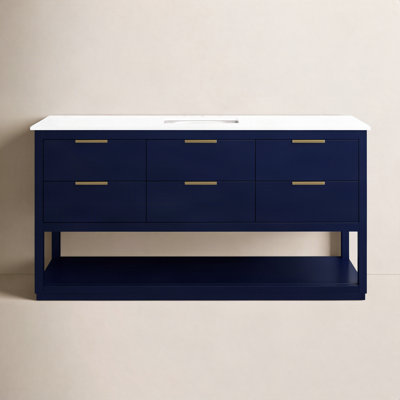 Felicity 60'' Single Bathroom Vanity