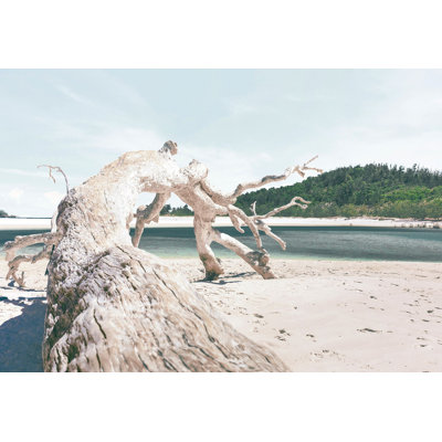 Driftwood Perspective Print