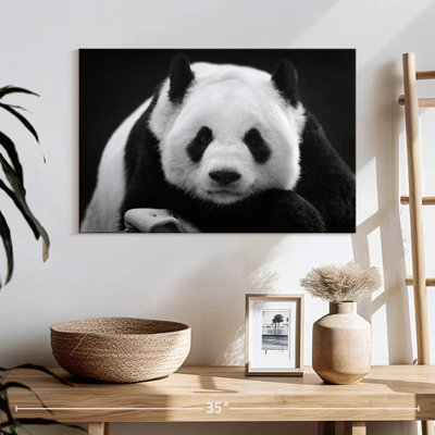Panda sérieux Brampt