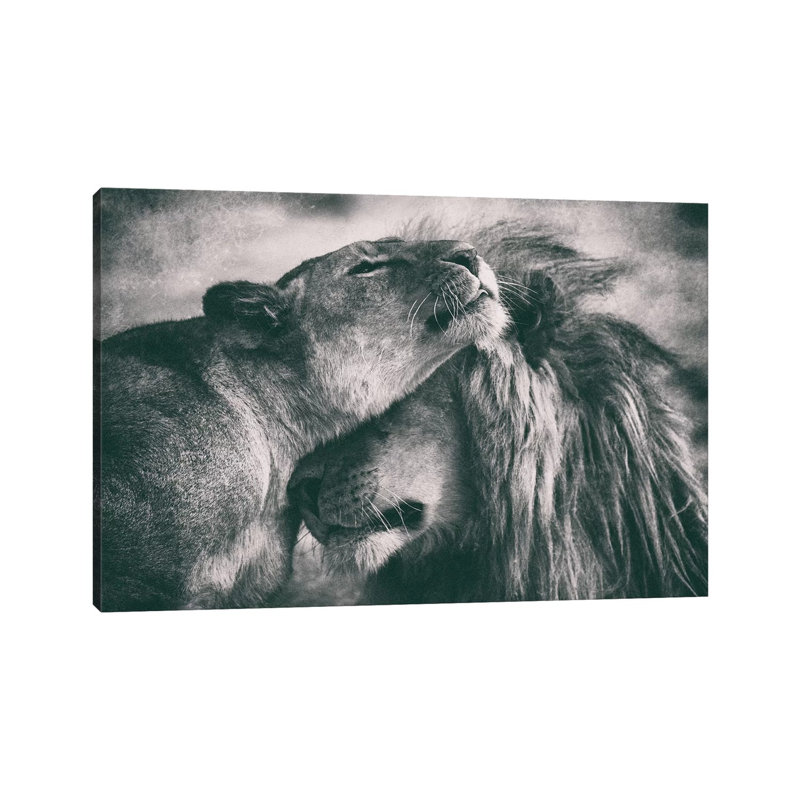 Love 1 Piece Wrapped Canvas Wall Art, 66.04 cm H x 45.72 cm W x 3.175 cm D