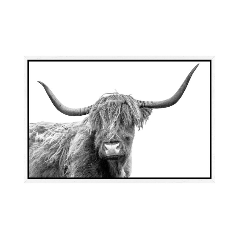 Looking At You III, Scottish Highland Cow Black And White by Susanne Kremer - Print on Canvas, White Floater Framed