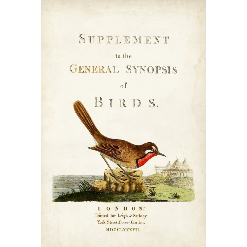 General Synopsis Of Birds by John Latham - Wrapped Canvas Print, 91cm H x 61cm W