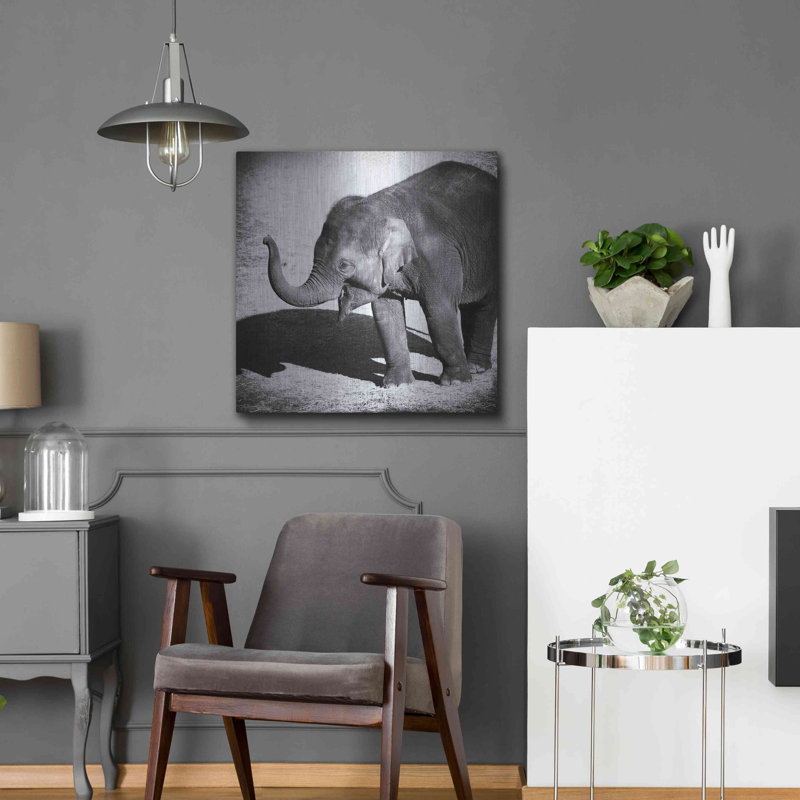 Latitude Run® «Elephant IV» par Debra Van Swearingen, art mural en métal, H 24 po x l 24 po