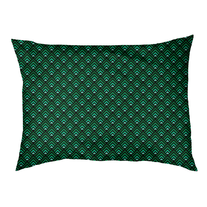 Coussin d'extérieur pour chien Campion, Très grand (l 52 po x P 42 po x H 17 po), Noir / vert clair / blanc
