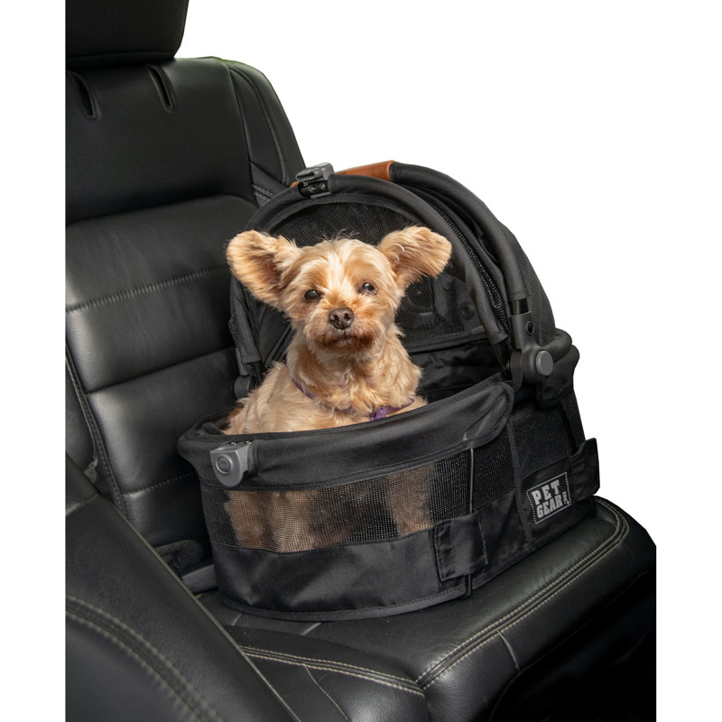 Small Black Soft Sided Pet Carrier and Car Seat