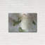 «Lark Manor» «Vintage Bouquet» par Judy Stalus, art mural en métal-452302349