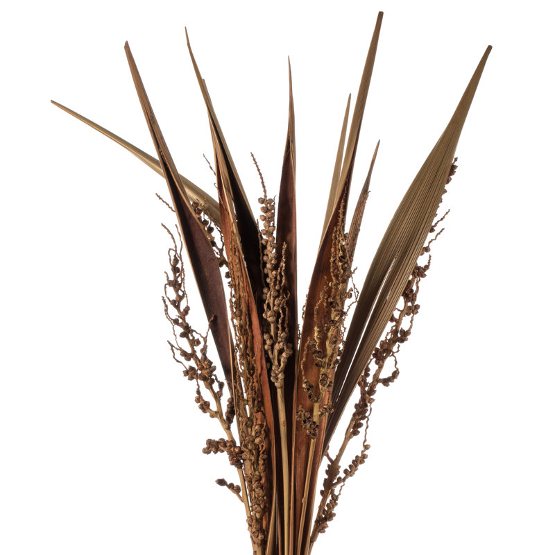36" Bahia Spears with Seeds, Dried, Natural