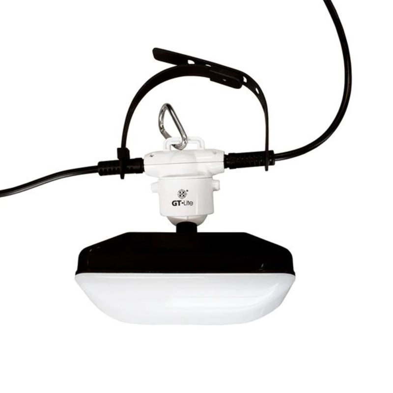 Leonice Outdoor 1 - Bulb 120'' Plug-in LED String Light