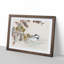 Bird By The Flowers by Kono Bairei - Single Picture Frame Painting-55466098-55466097