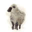 So Fluffy 3 Print by Ngo, PC-1479936422-1479936423