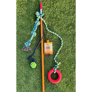 Outdoor Dog Tug Pole with Rope Ball Tire Treat Combo – Interactive Dog Toy For Active Play